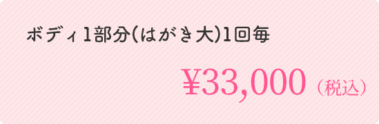 ボディ1部分(はがき大)1回毎 ￥33,000（税込）