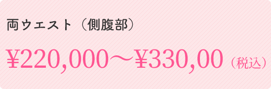 両ウエスト（側腹部） ￥220,000～￥330,000（税込）