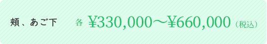 頬、あご下 各￥330,000～￥660,000（税込）