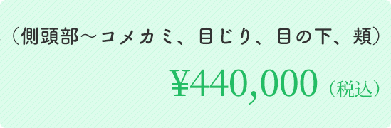 顔全体 （側頭部～コメカミ、目じり、目の下、頬）￥440,000（税込）