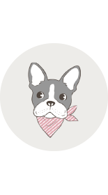 脂肪・筋肉を改善してすっきり