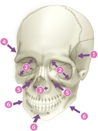加齢による骨格の変化