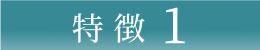 特徴1