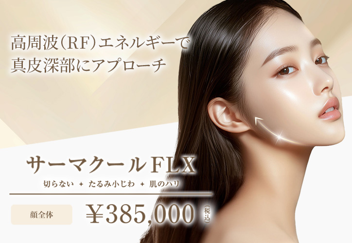 サーマクールFLX／切らない、たるみ小じわ・肌のハリ／顔全体 385,000円（税込）