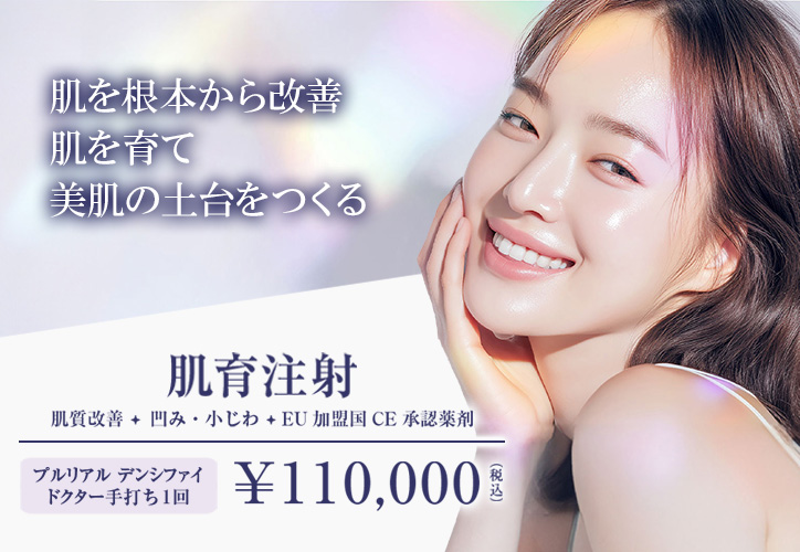 肌育注射／肌質改善・凹み、小じわ・EU加盟国CE承認薬剤／プルリアルデンシファイ ドクター手打ち1回 110,000円（税込）